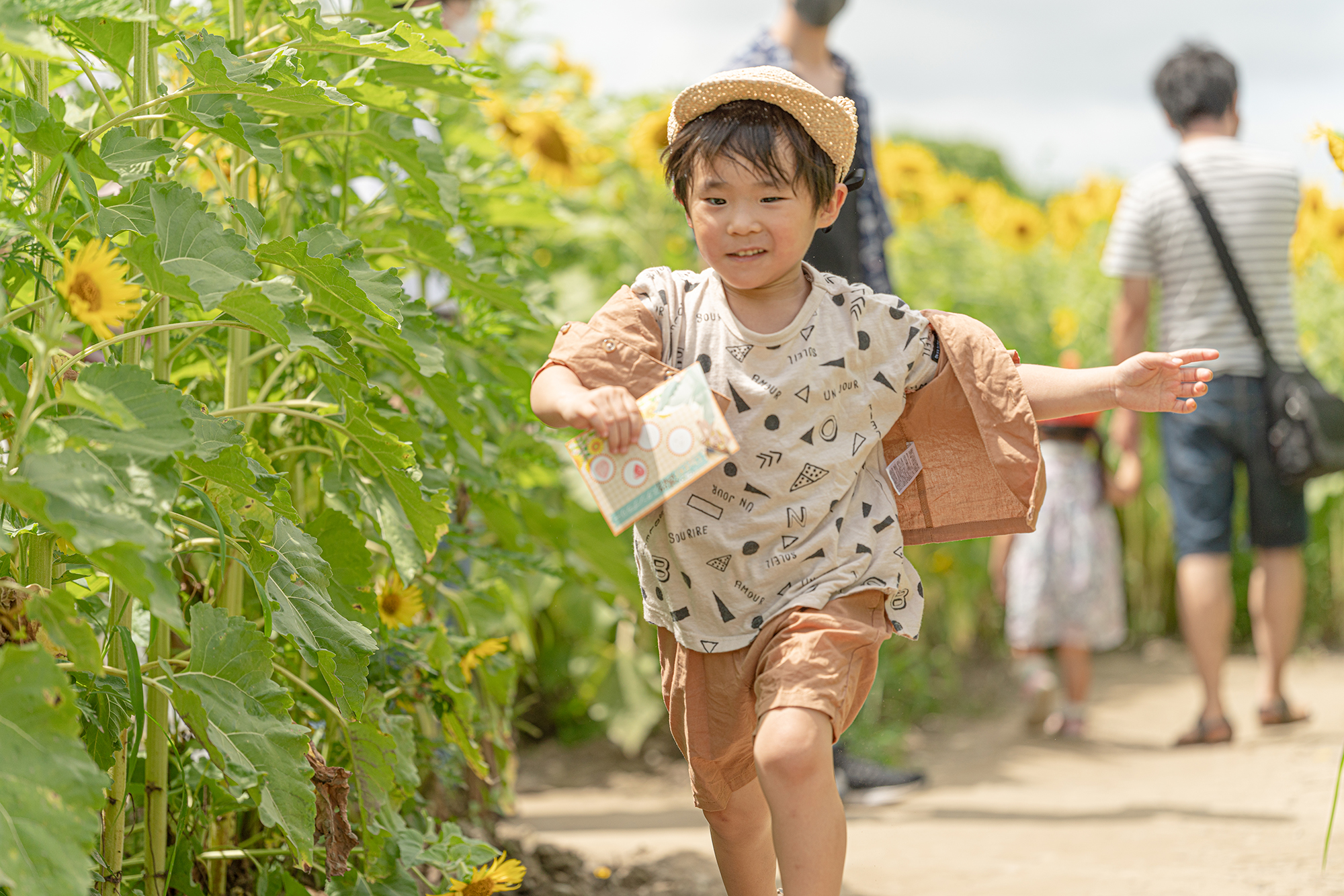 220730_ひまわり迷路02